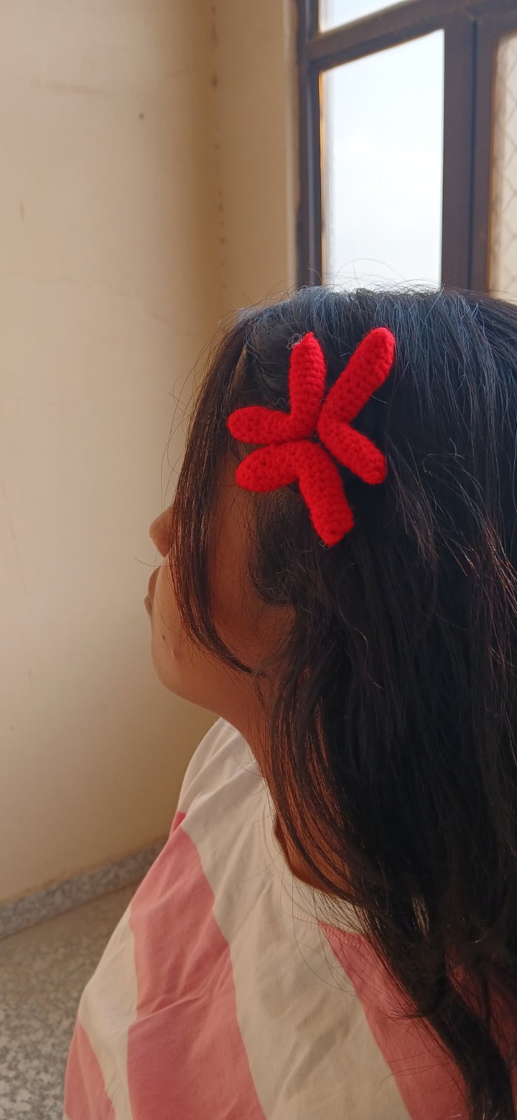 Angry Hair Clip